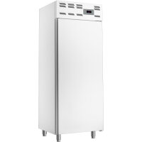 Gastro Lagertiefkühlschrank 20x EN statisch 500 L -...